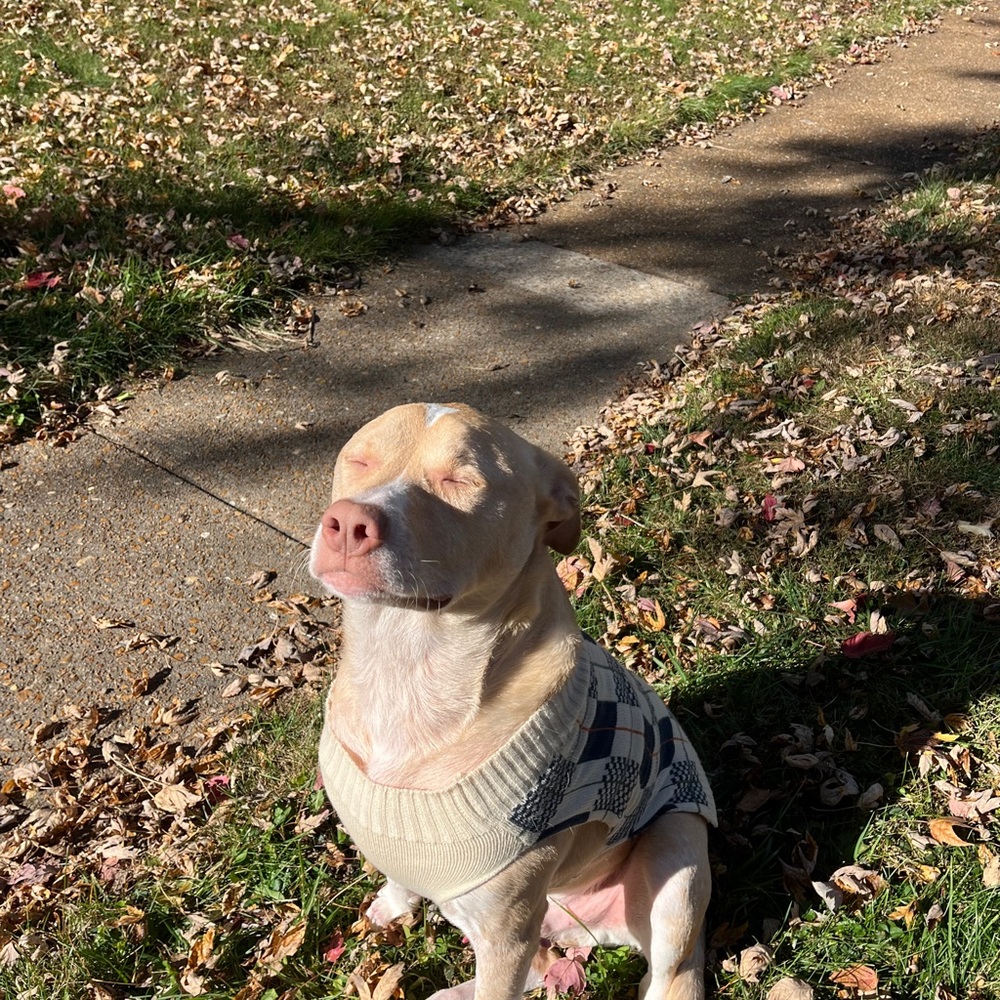 Meet your Posher, Ruby